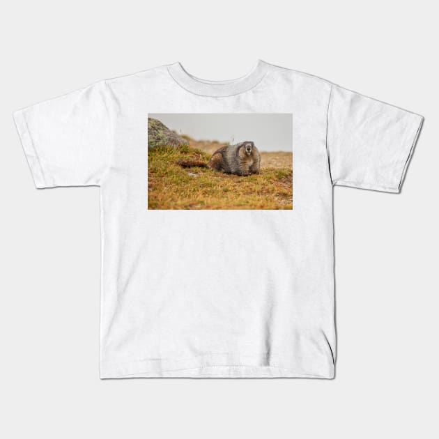 Hoary Marmot Kids T-Shirt by Eunice1